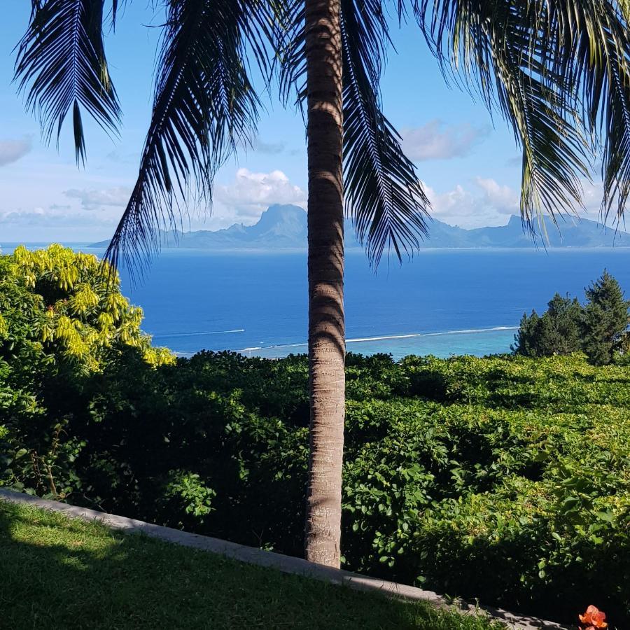 Villa Lodge - Bas De Villa Avec Piscine Et Vue Ocean Et Moorea Пунаауйя Экстерьер фото